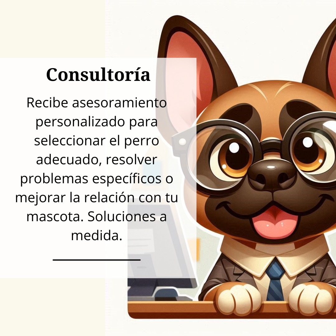 Consultoría