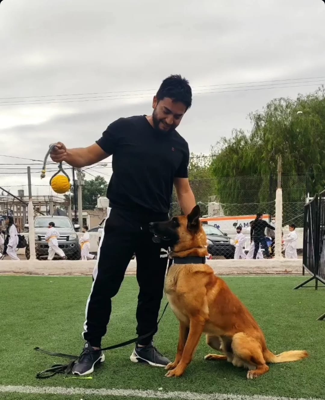 Tito Herrera - Sinergia Instintiva